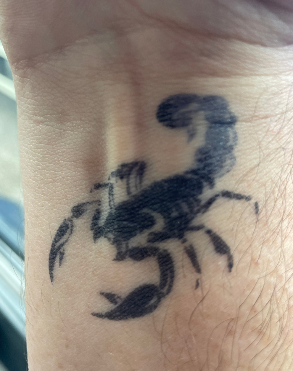 Scorpion
