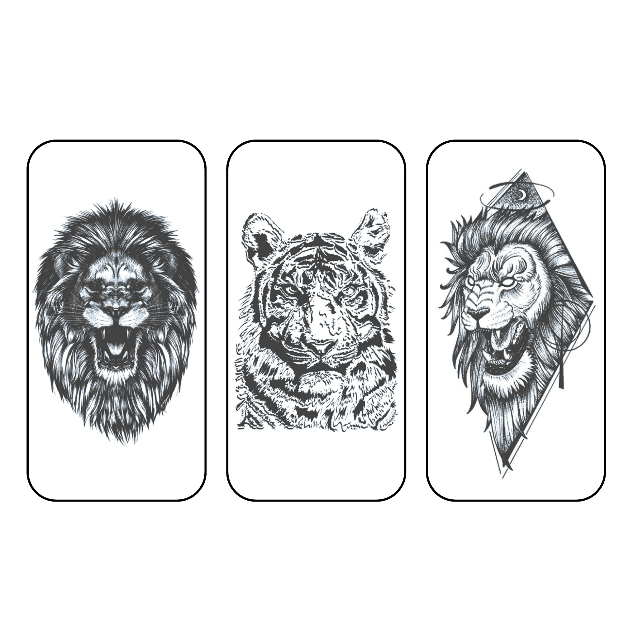 Big Cat Trio Pack (Medium)